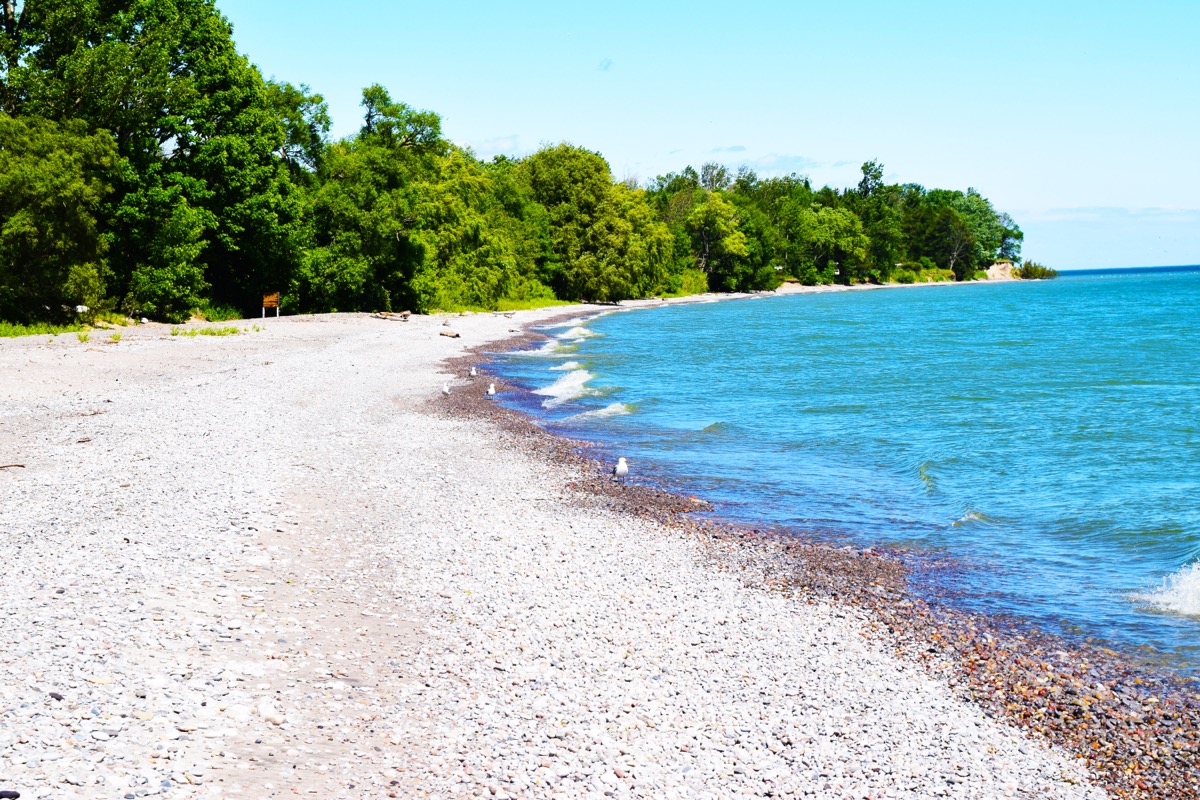 Lake Ontario shoreline at Darlington Provincial Park